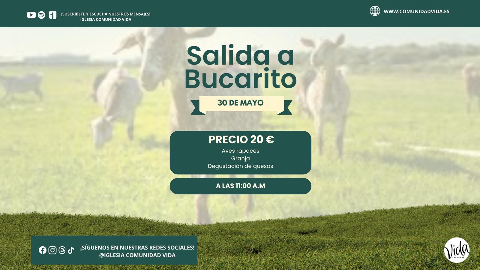 Eventos Comunidad Vida